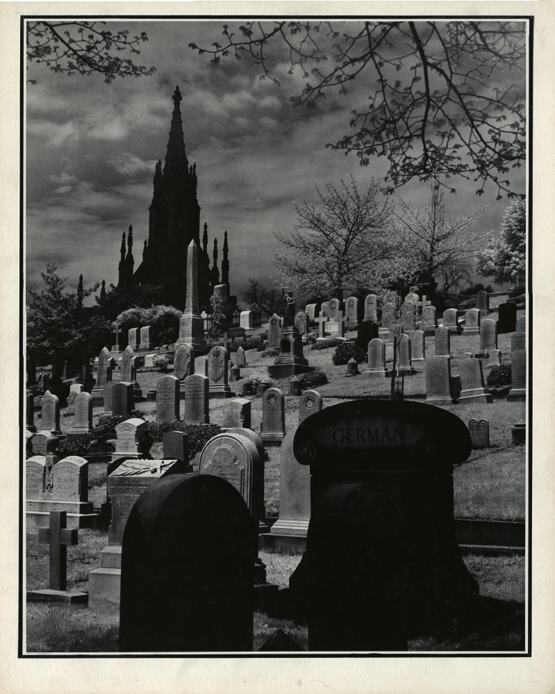 Click for larger image